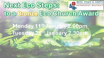 Eco Bronze Award Steps Jan 27